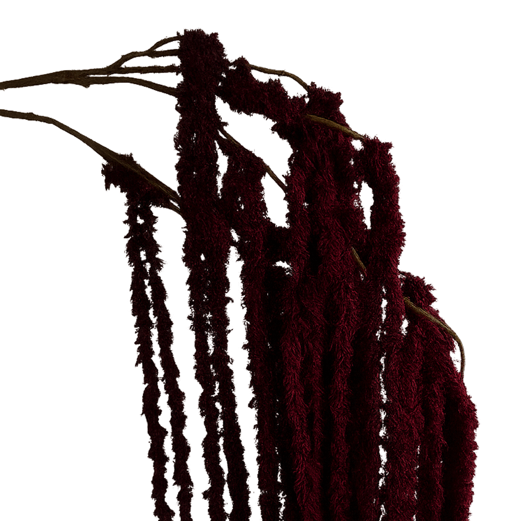 Cascading Millet Grass Stem — Deep Burgundy