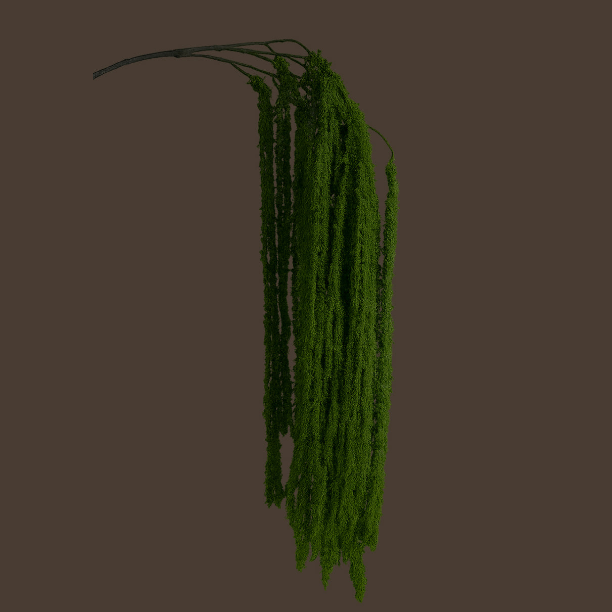 Cascading Millet Grass Stem — Bright Green