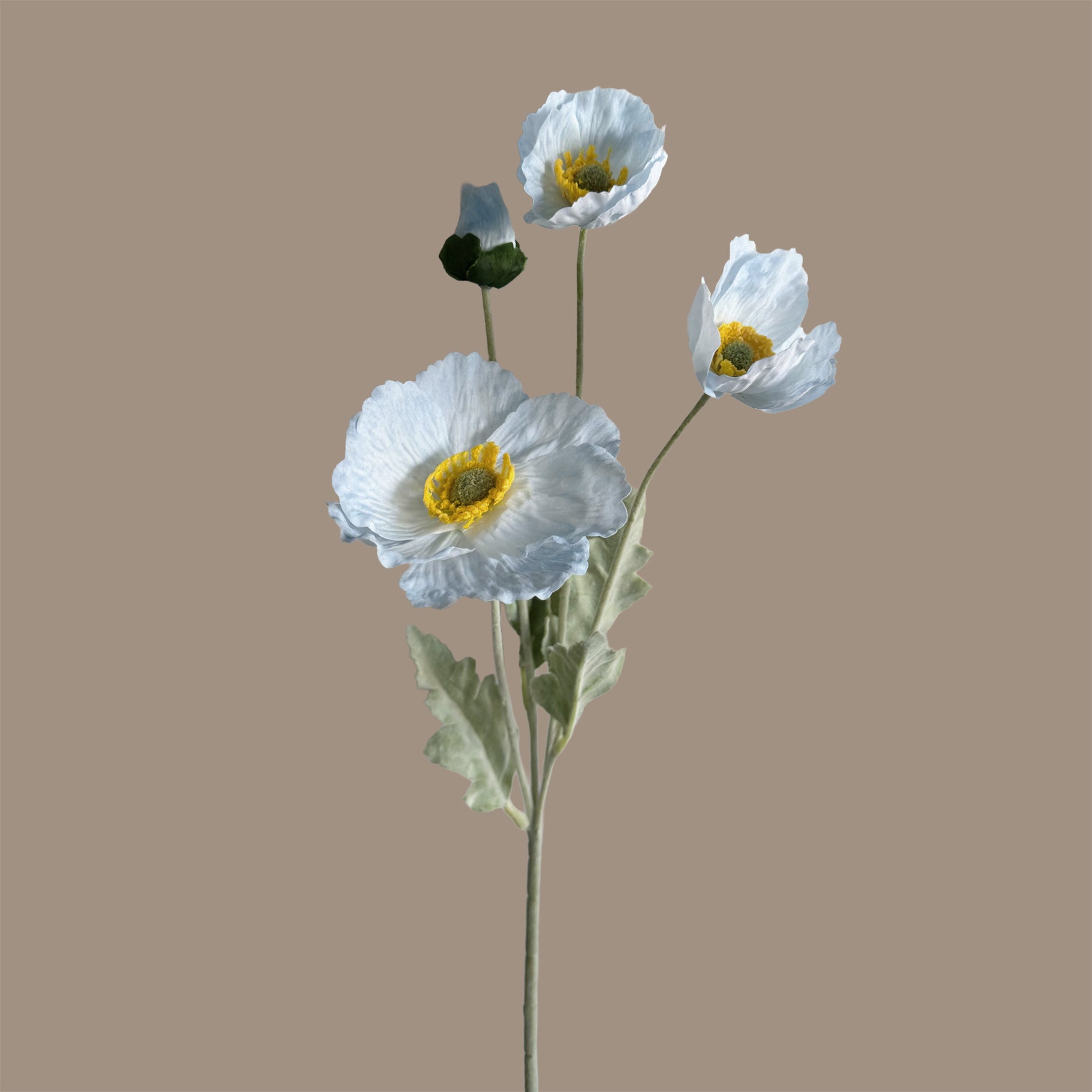 Poppy Spray with Bud — Zenith Blue