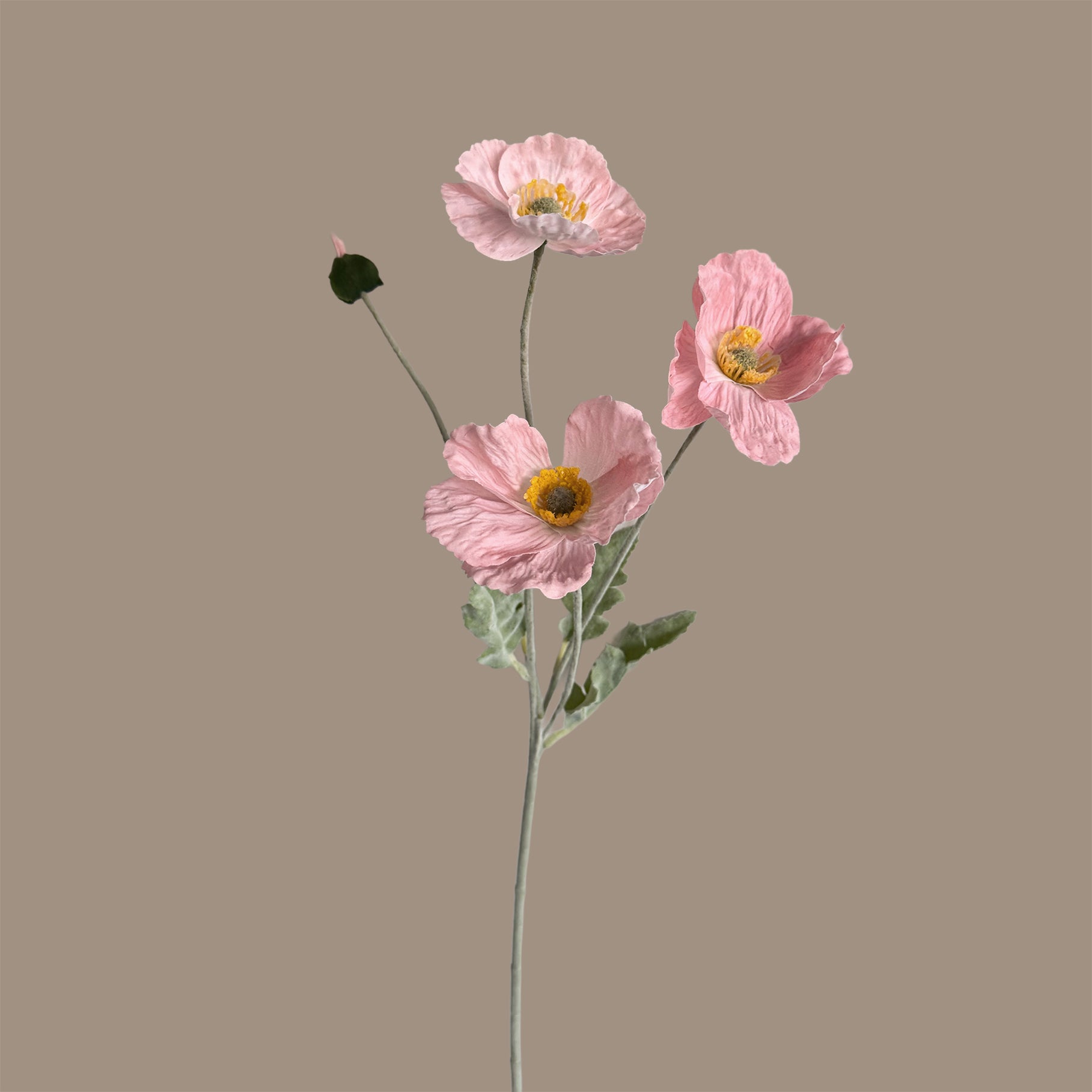 Poppy Spray with Bud — Nymph Pink