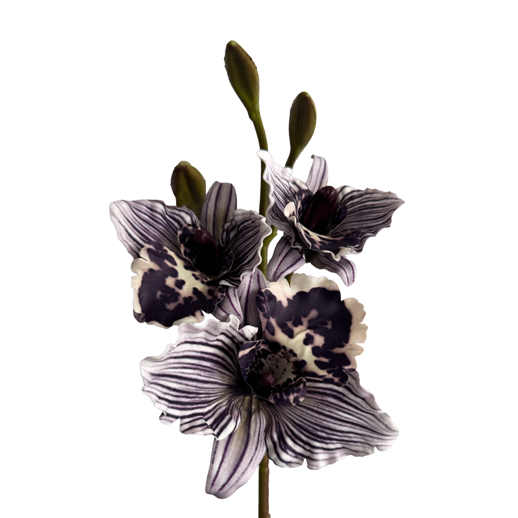 Cattleya Orchid — Inky Purple