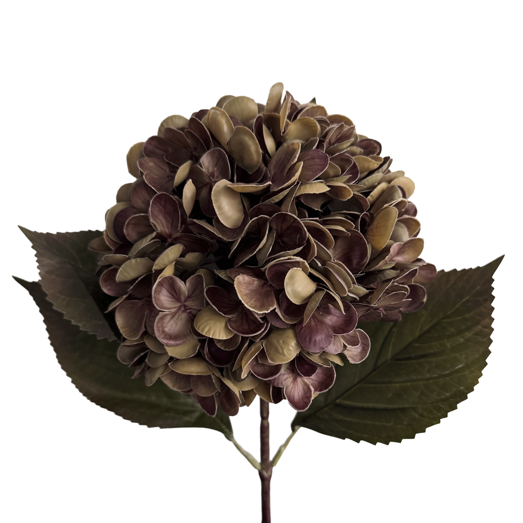 Gracious Hydrangea (Six Stems) — Fallen Leaf