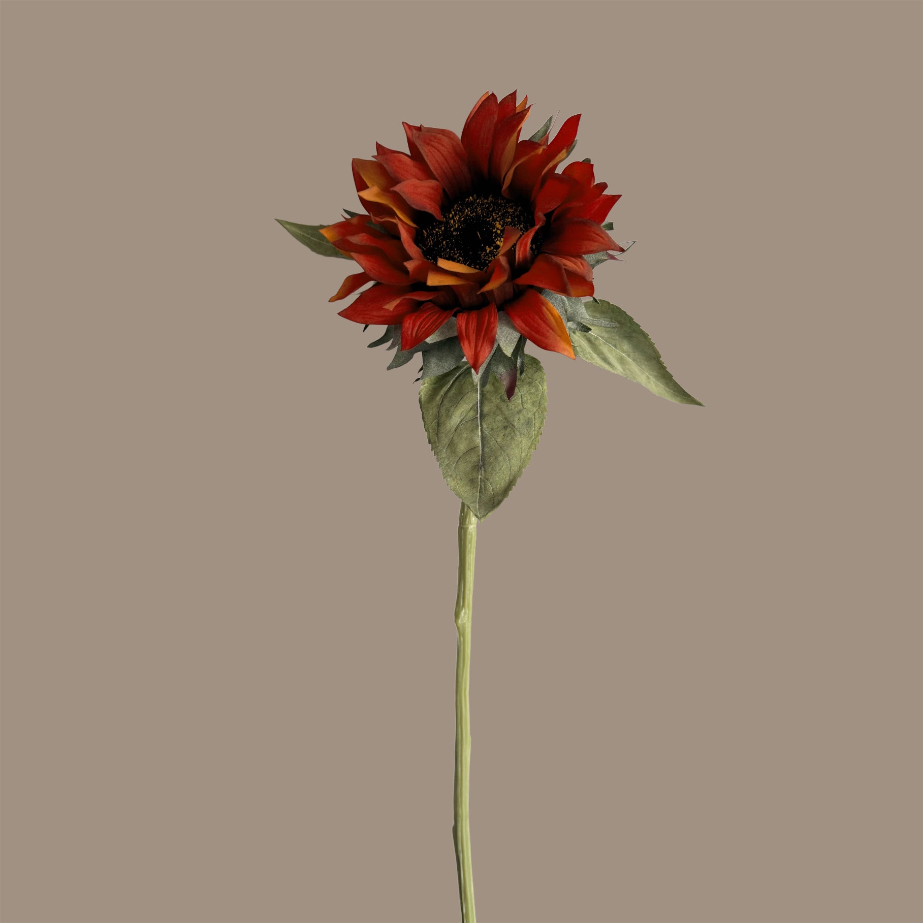 Sunflower — Deep Orange