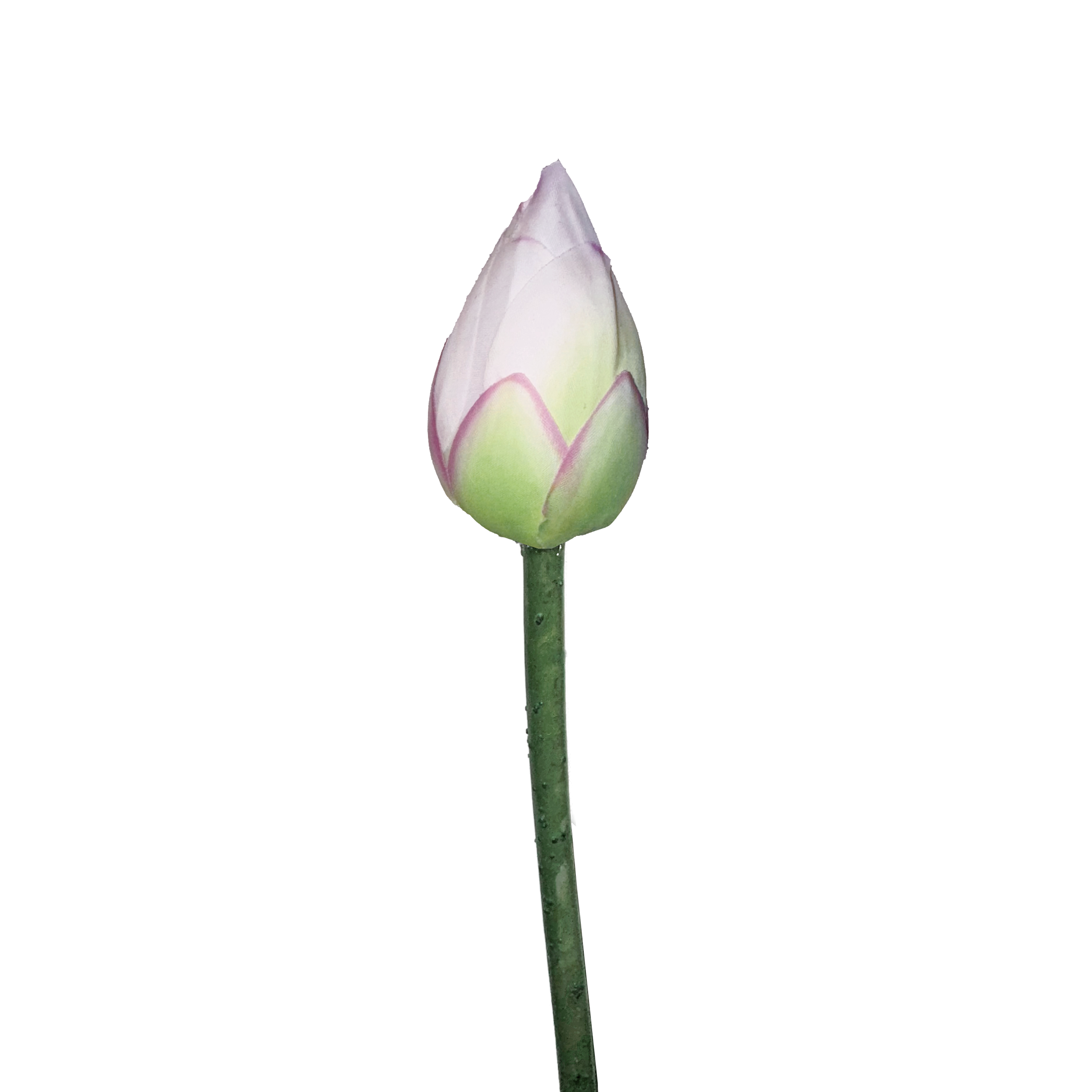 Zen Lotus Bud — Misty White