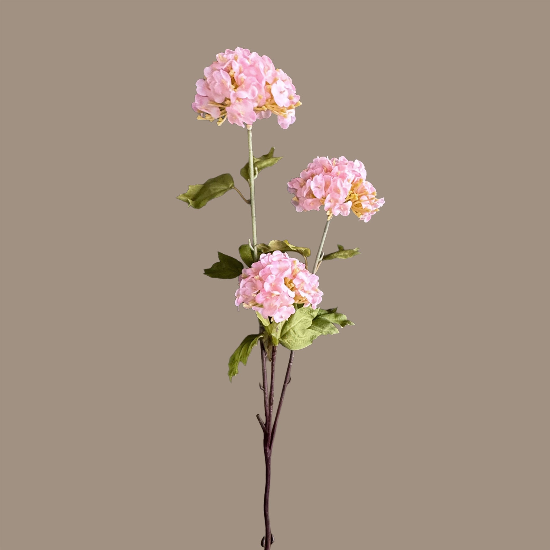 Hydrangea Tricluster Spray — Petal Pink