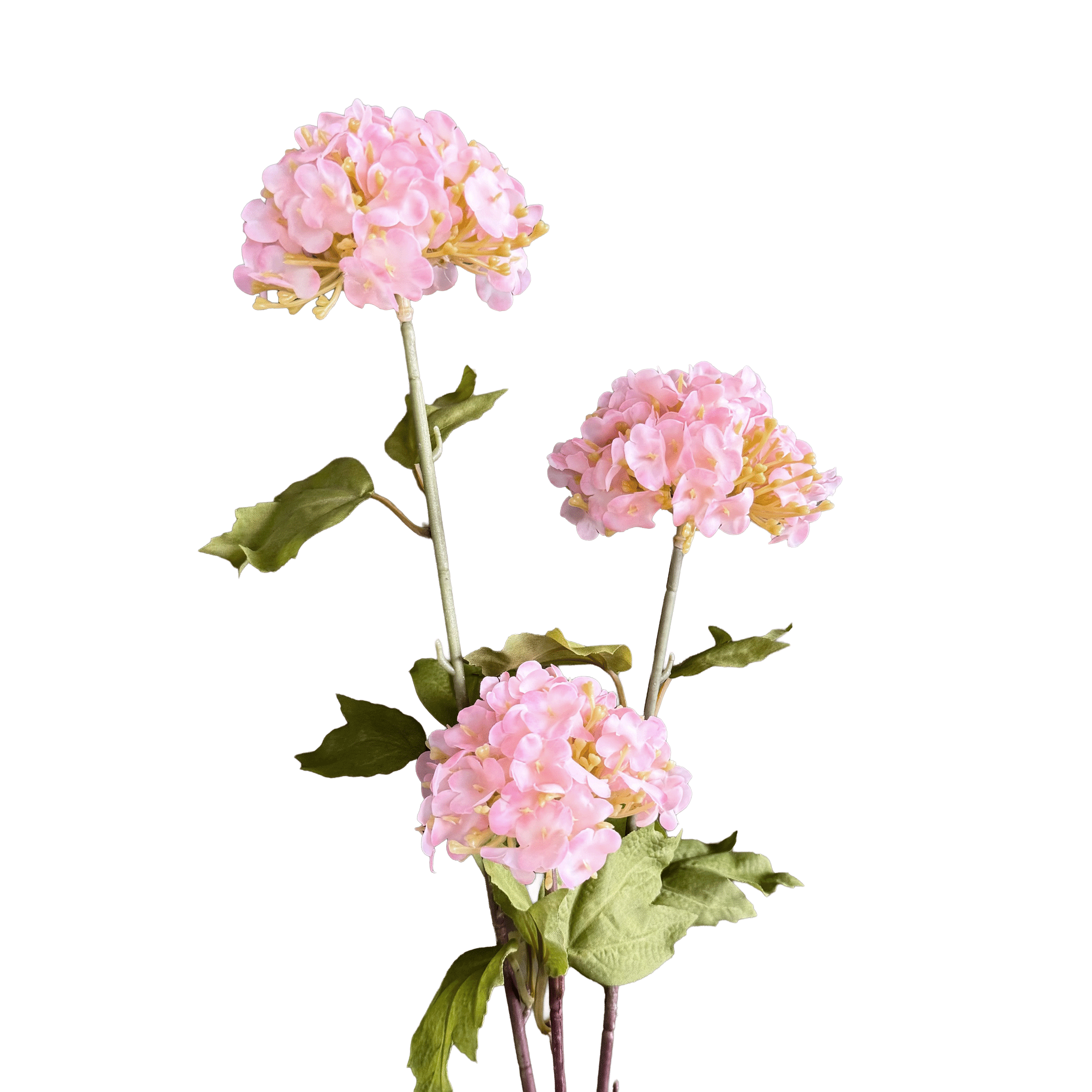 Hydrangea Tricluster Spray — Petal Pink