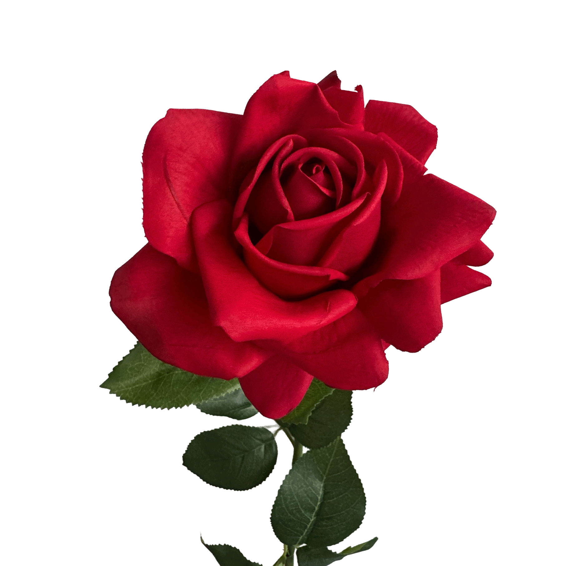 Aesthetic Modular Leaf Ensemble Rose — Crimson Red