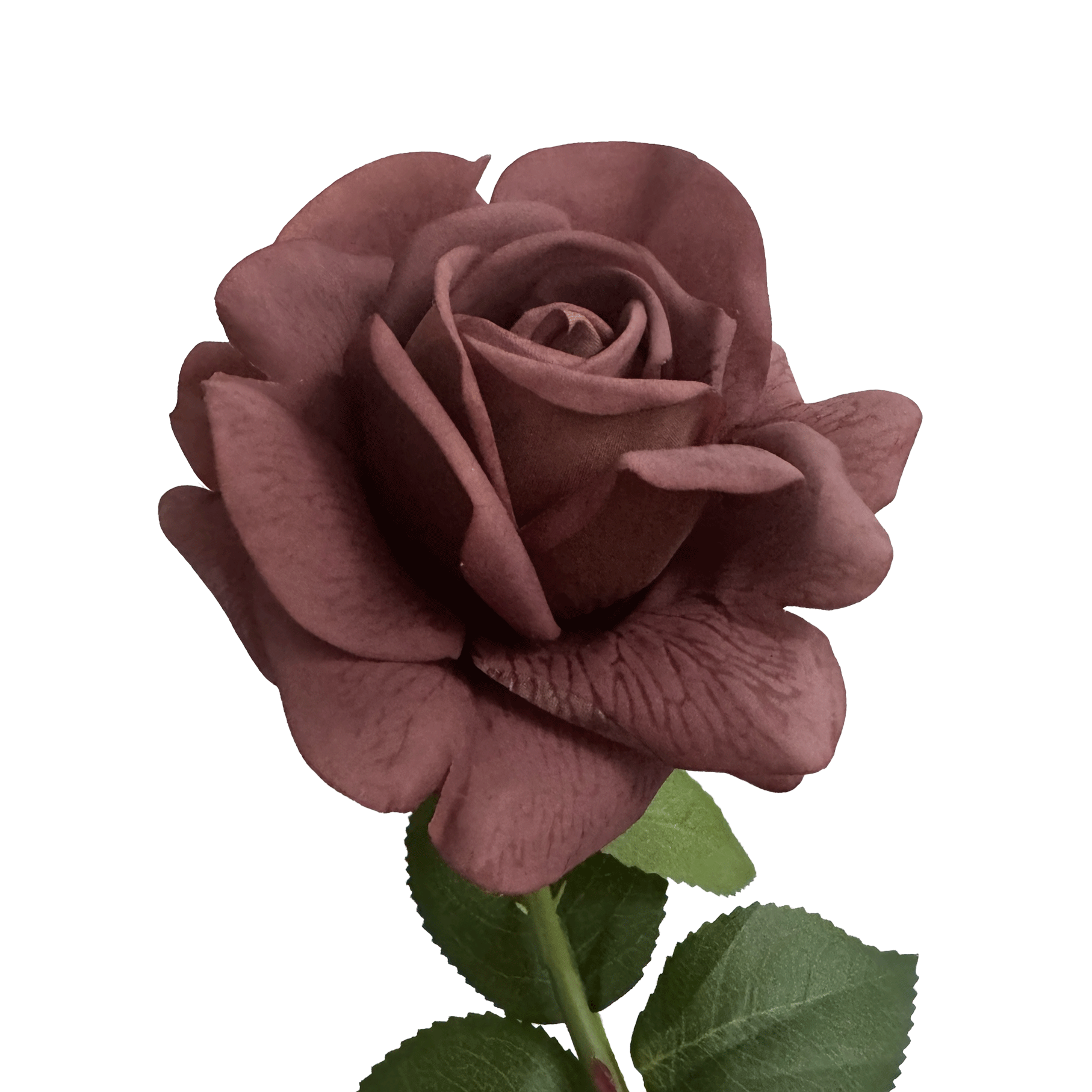 Aesthetic Modular Leaf Ensemble Rose — Morandi Rouge