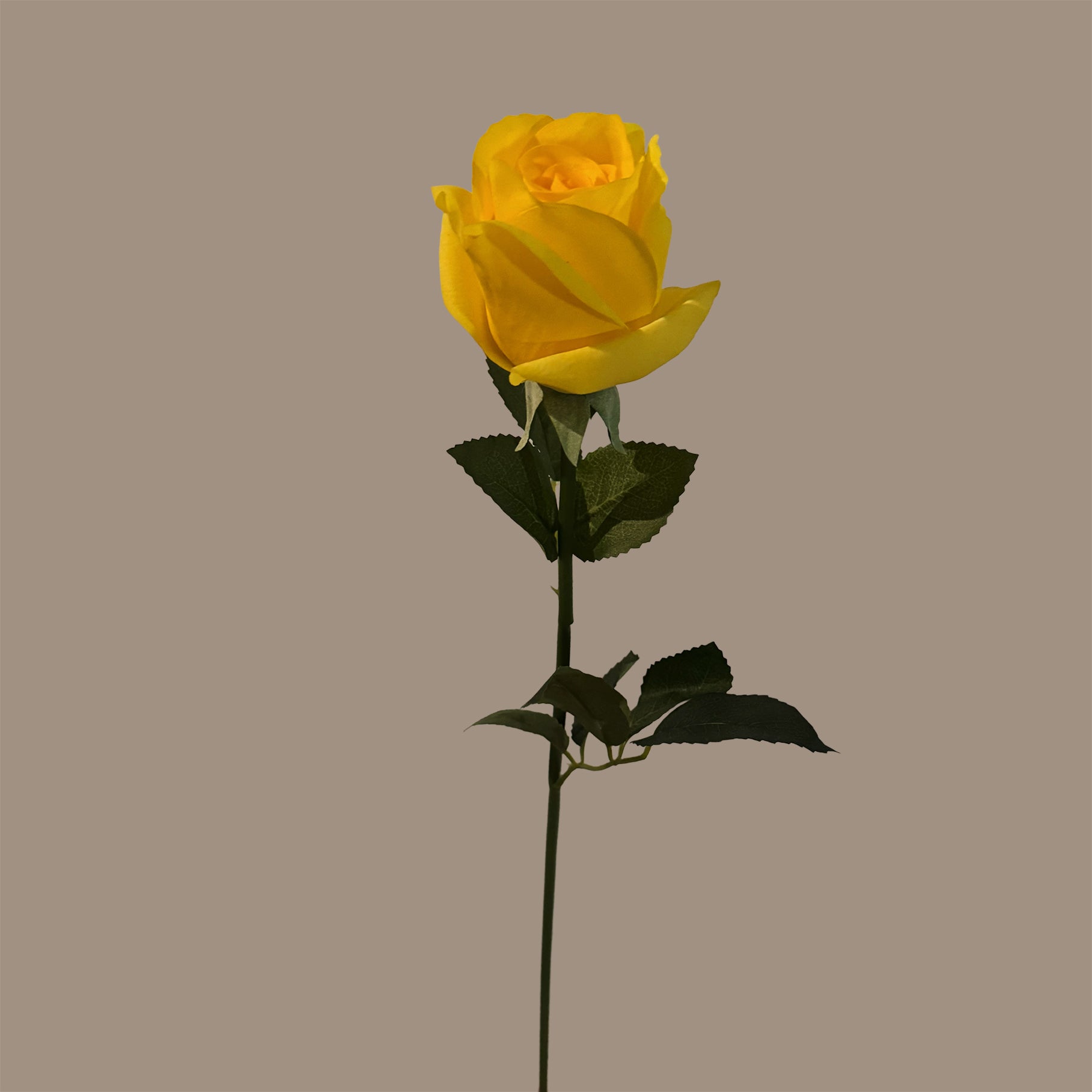 Elegance Modular Leaf Ensemble Rose — Citrine Yellow