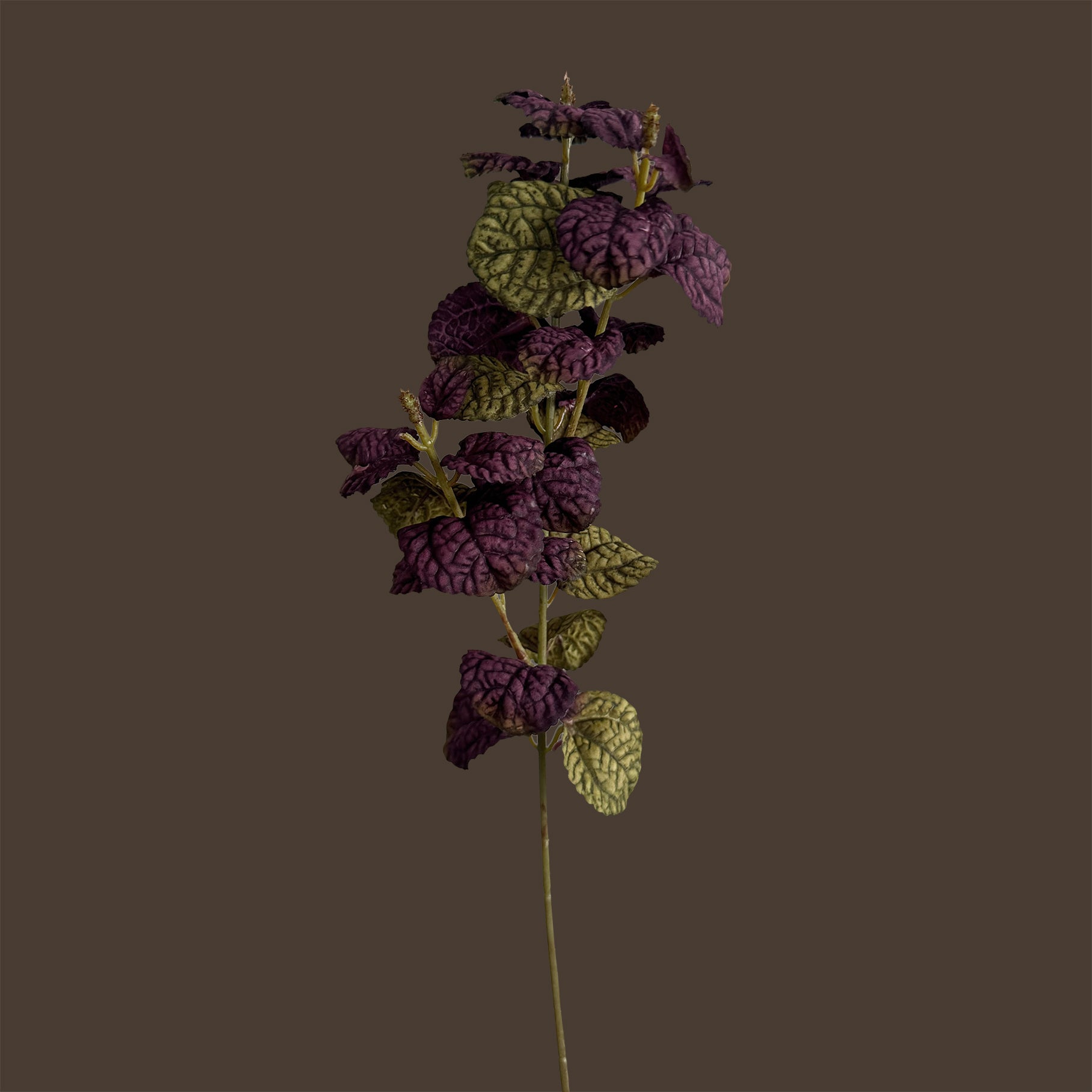 Mint Leaf Spray — Plum & Olive Bicolour