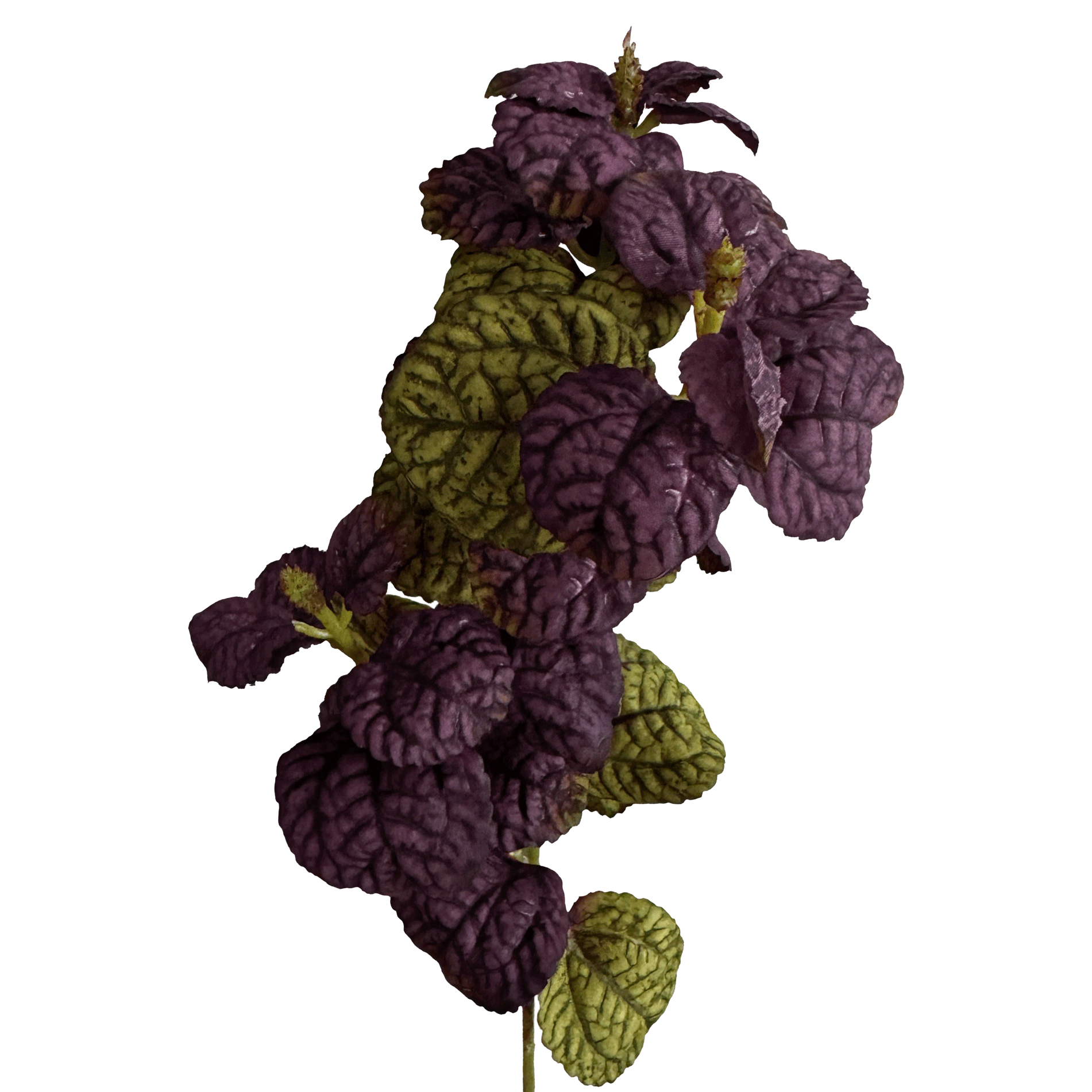 Mint Leaf Spray — Plum & Olive Bicolour