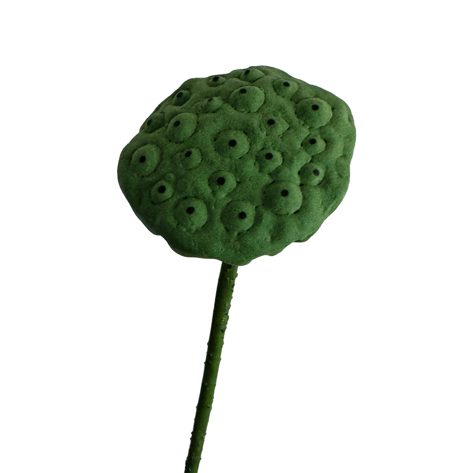 Zen Lotus Seed Pod — Forest Green
