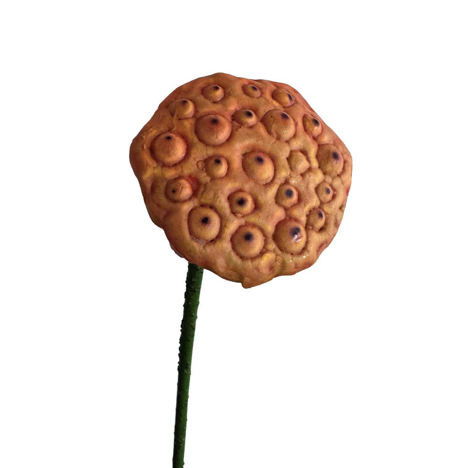 Zen Lotus Seed Pod — Bronze Red