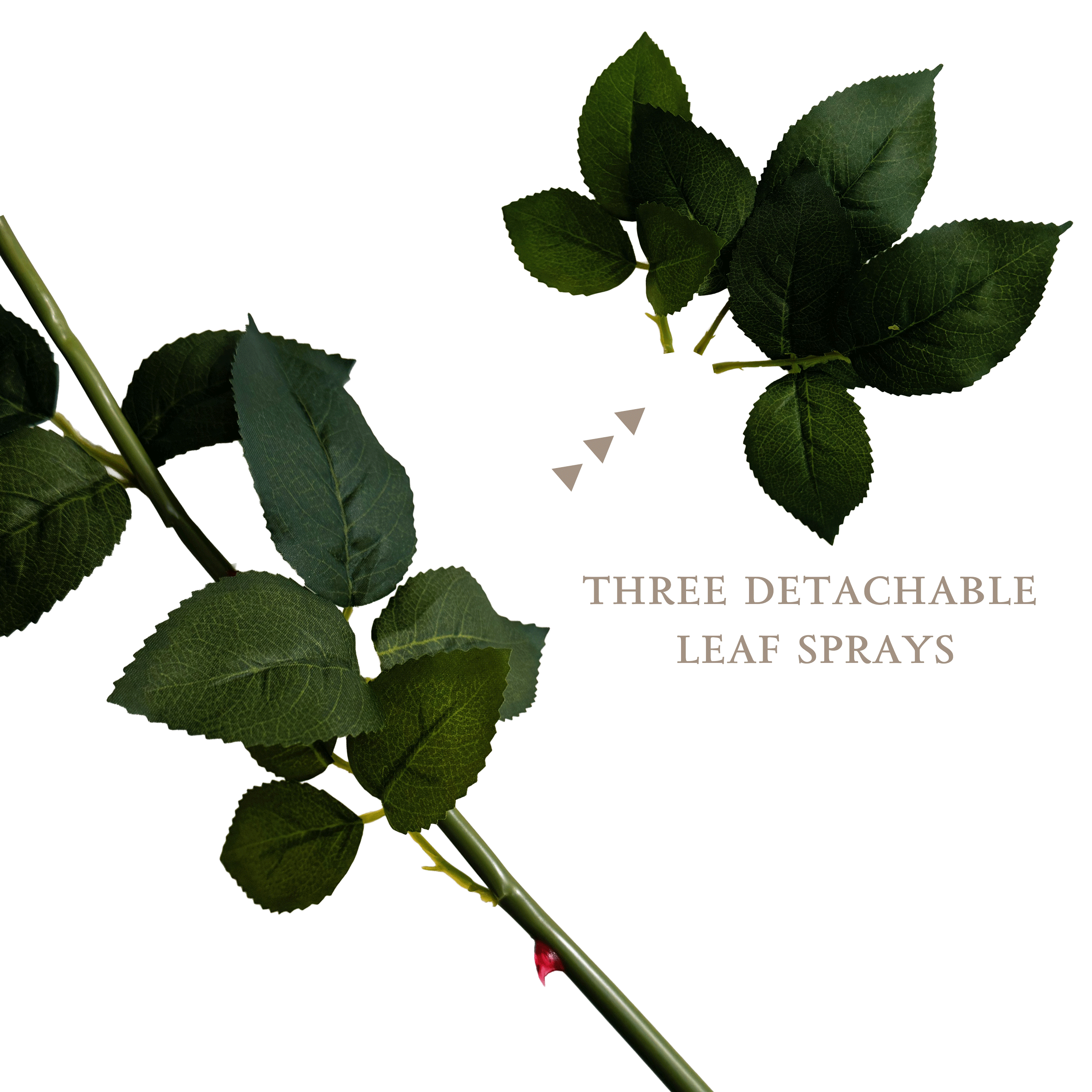 Aesthetic Modular Leaf Ensemble Rose — Skylight Blue