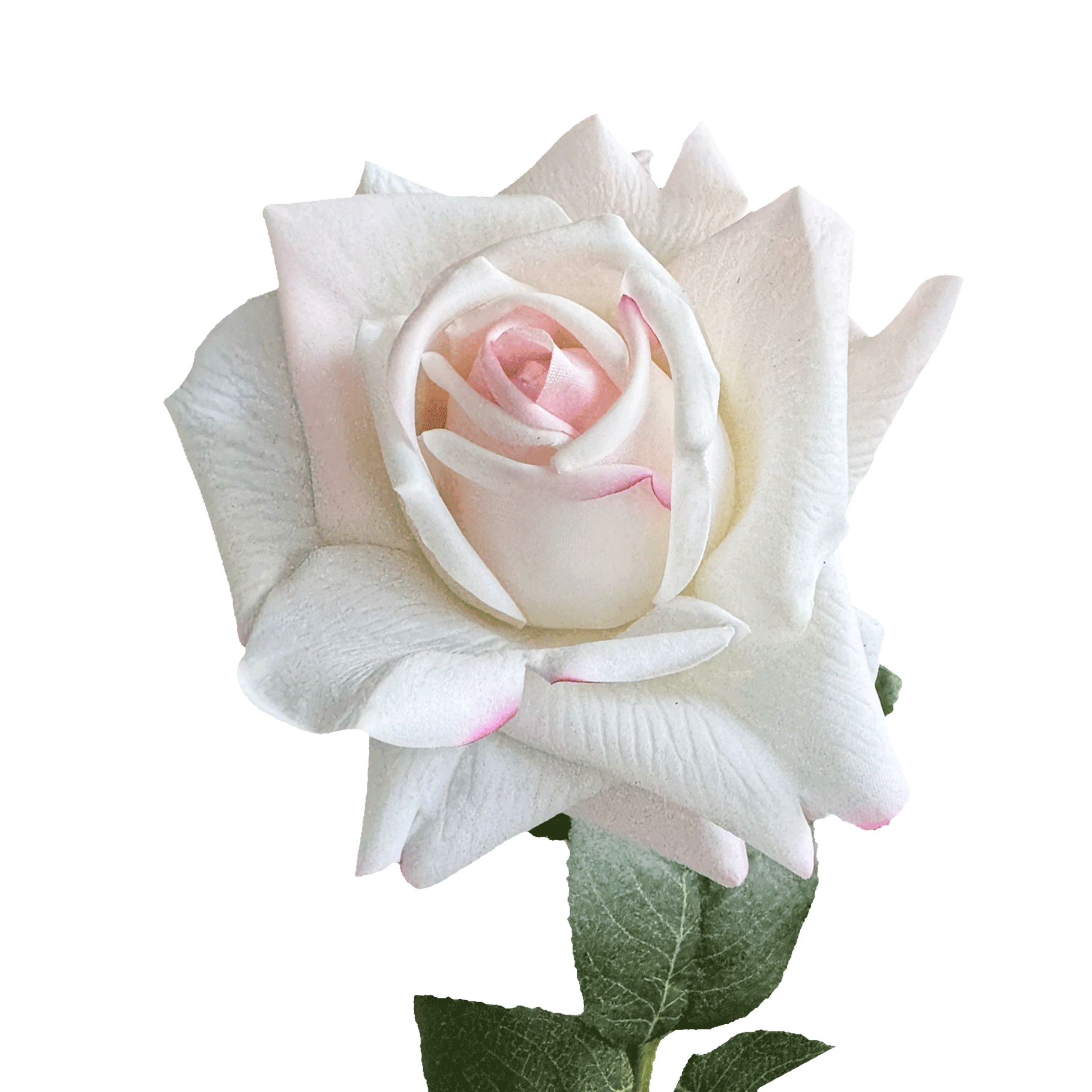 Aesthetic Modular Leaf Ensemble Rose — Ivory Blush