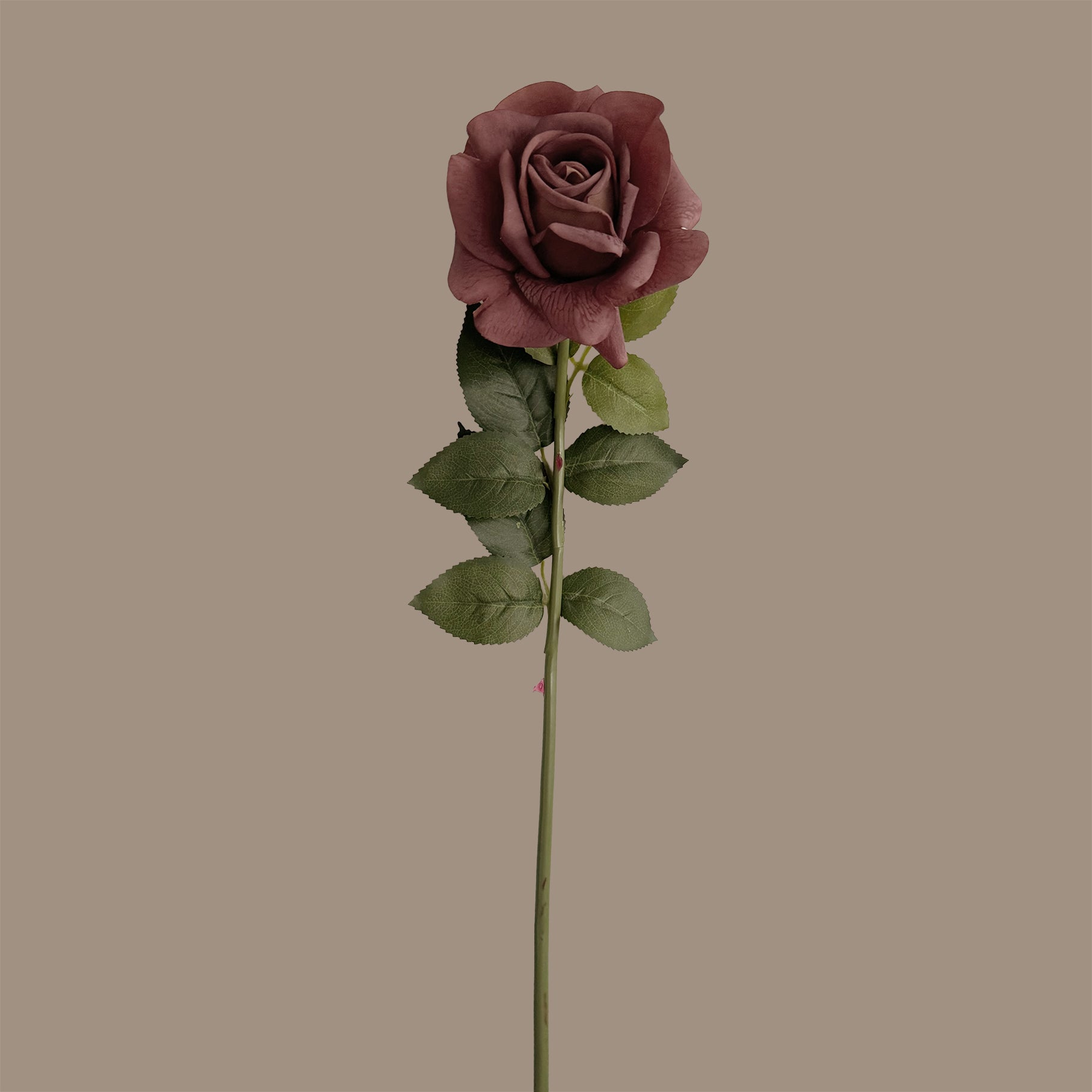 Aesthetic Modular Leaf Ensemble Rose — Morandi Rouge