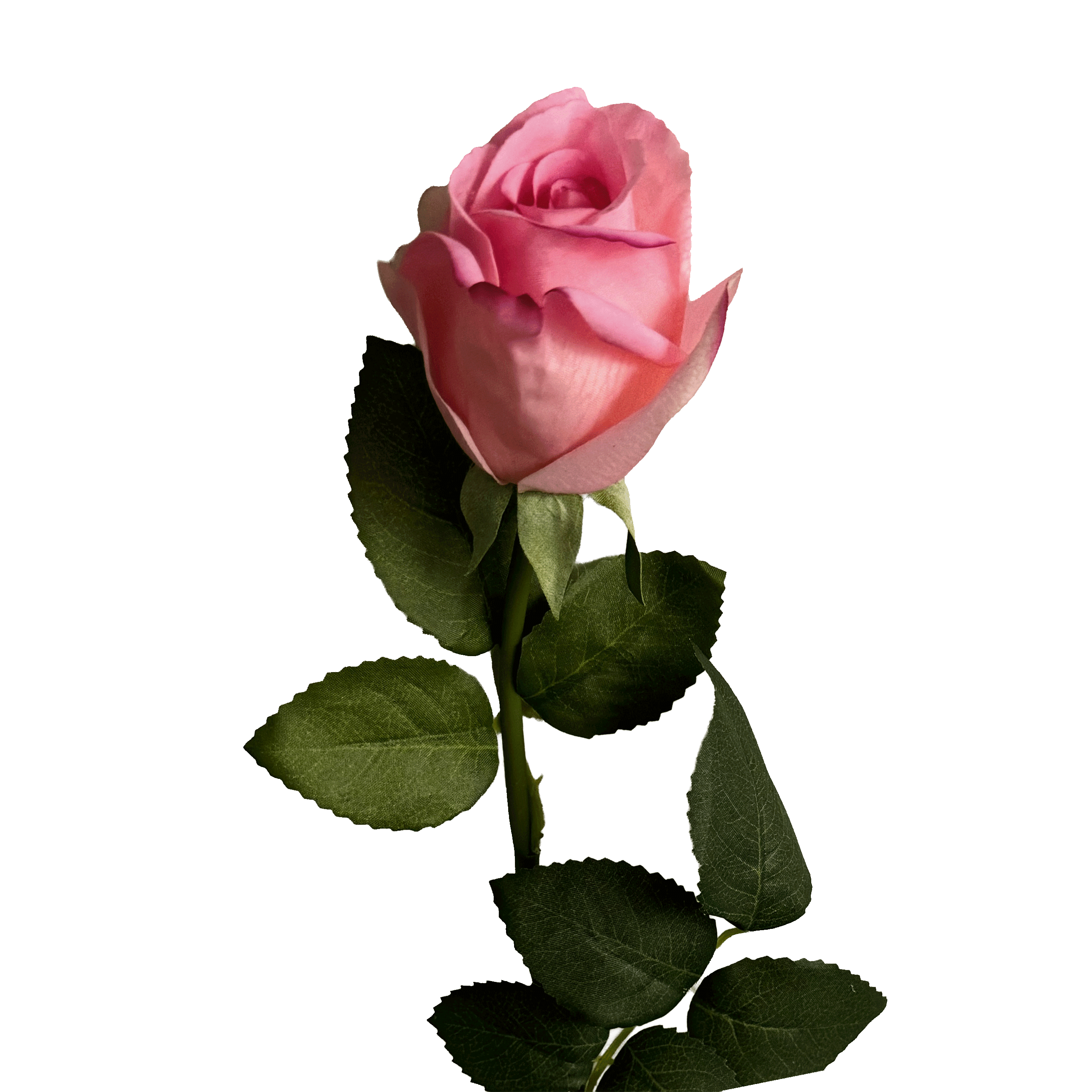 Elegance Modular Leaf Ensemble Rose — Rose Quartz