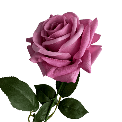 Artful Garden Rose — Orchid Pink