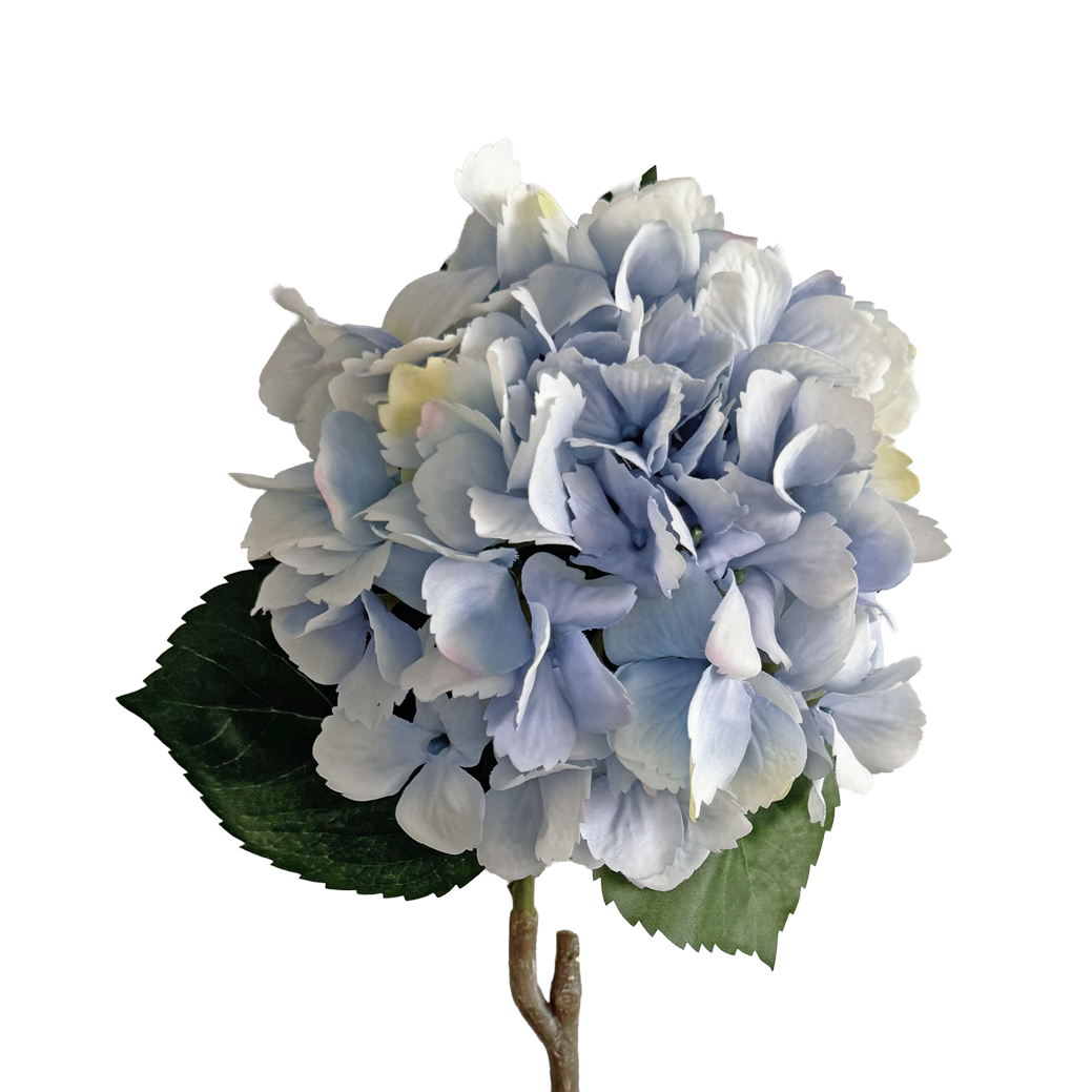 Hazy Dream Hydrangea — Soft Blue Violet