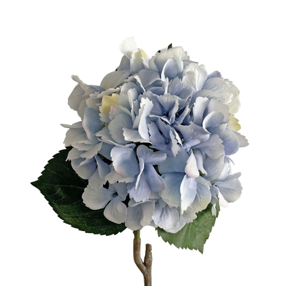 Hazy Dream Hydrangea — Soft Blue Violet