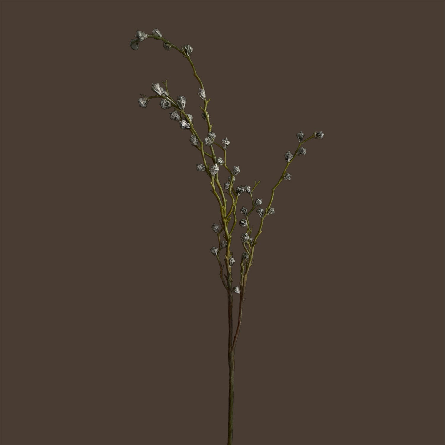 Eucalyptus Bud Branch — Laurel Frost