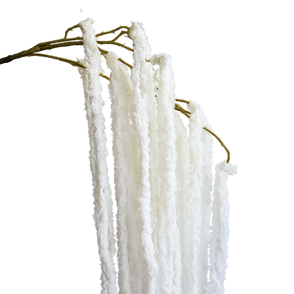 Cascading Millet Grass Stem — Porcelain White