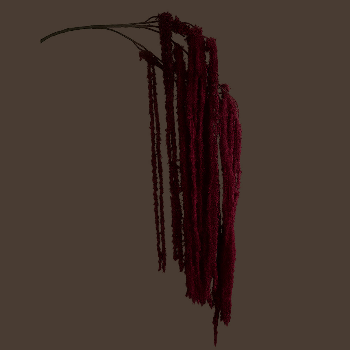 Cascading Millet Grass Stem — Deep Burgundy
