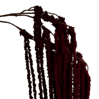 Cascading Millet Grass Stem — Deep Burgundy