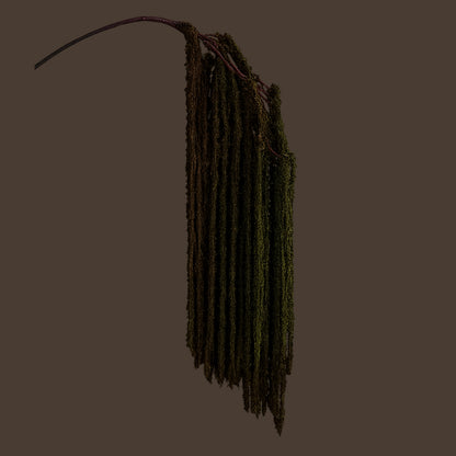 Cascading Millet Grass Stem — Forest Green