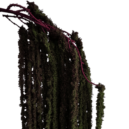 Cascading Millet Grass Stem — Forest Green