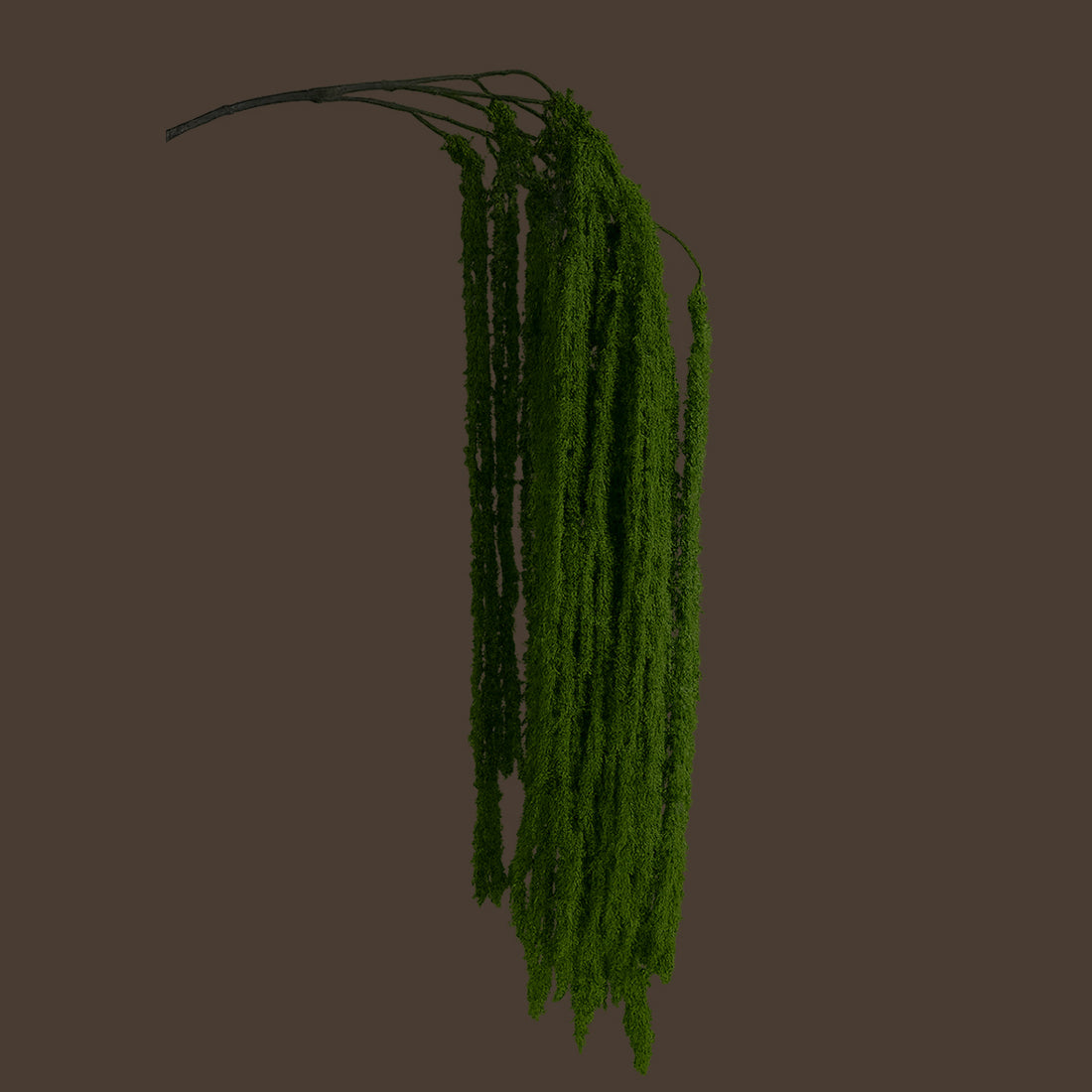 Cascading Millet Grass Stem — Bright Green