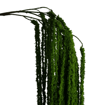 Cascading Millet Grass Stem — Bright Green