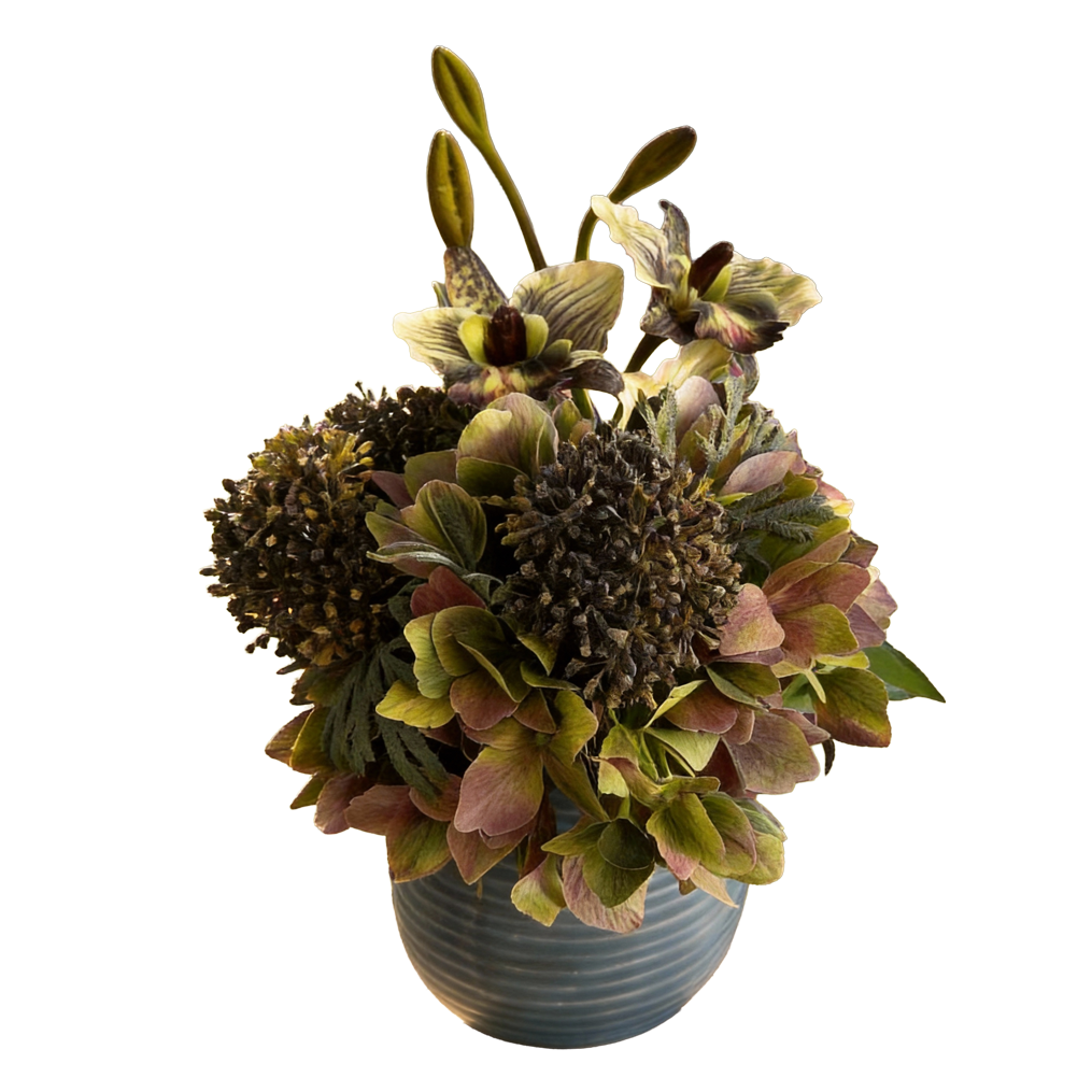 Backyard Sunlit Bloom