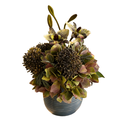 Backyard Sunlit Bloom