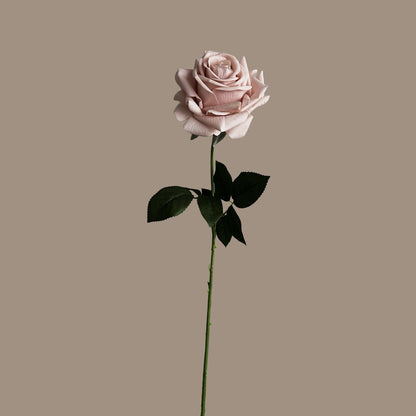 Artful Garden Rose (Three Stems) — Morandi Dust Pink