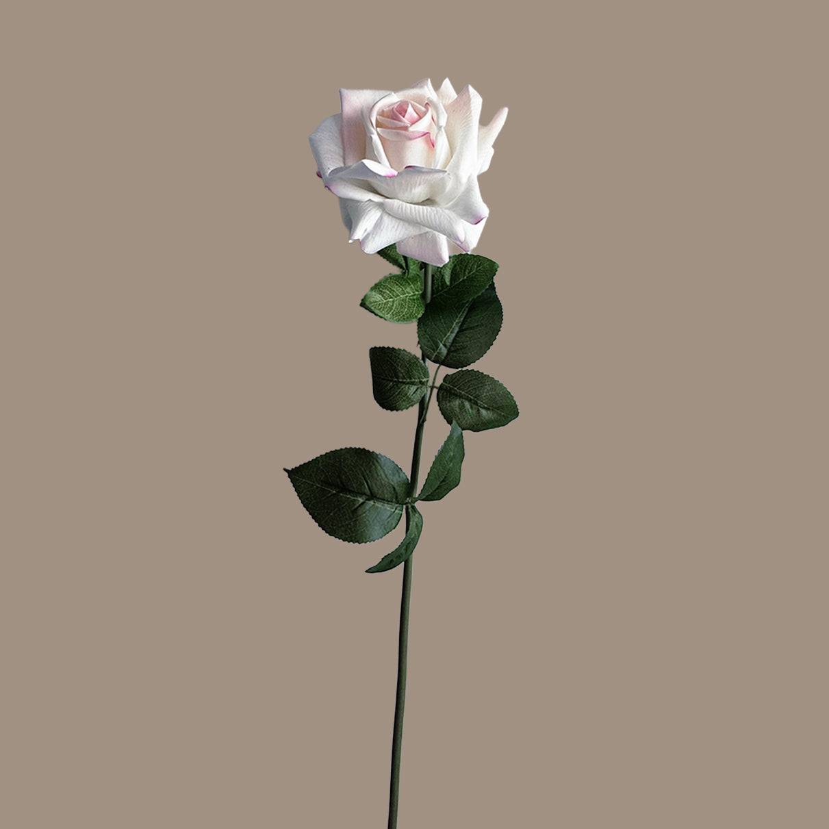 Aesthetic Modular Leaf Ensemble Rose — Ivory Blush