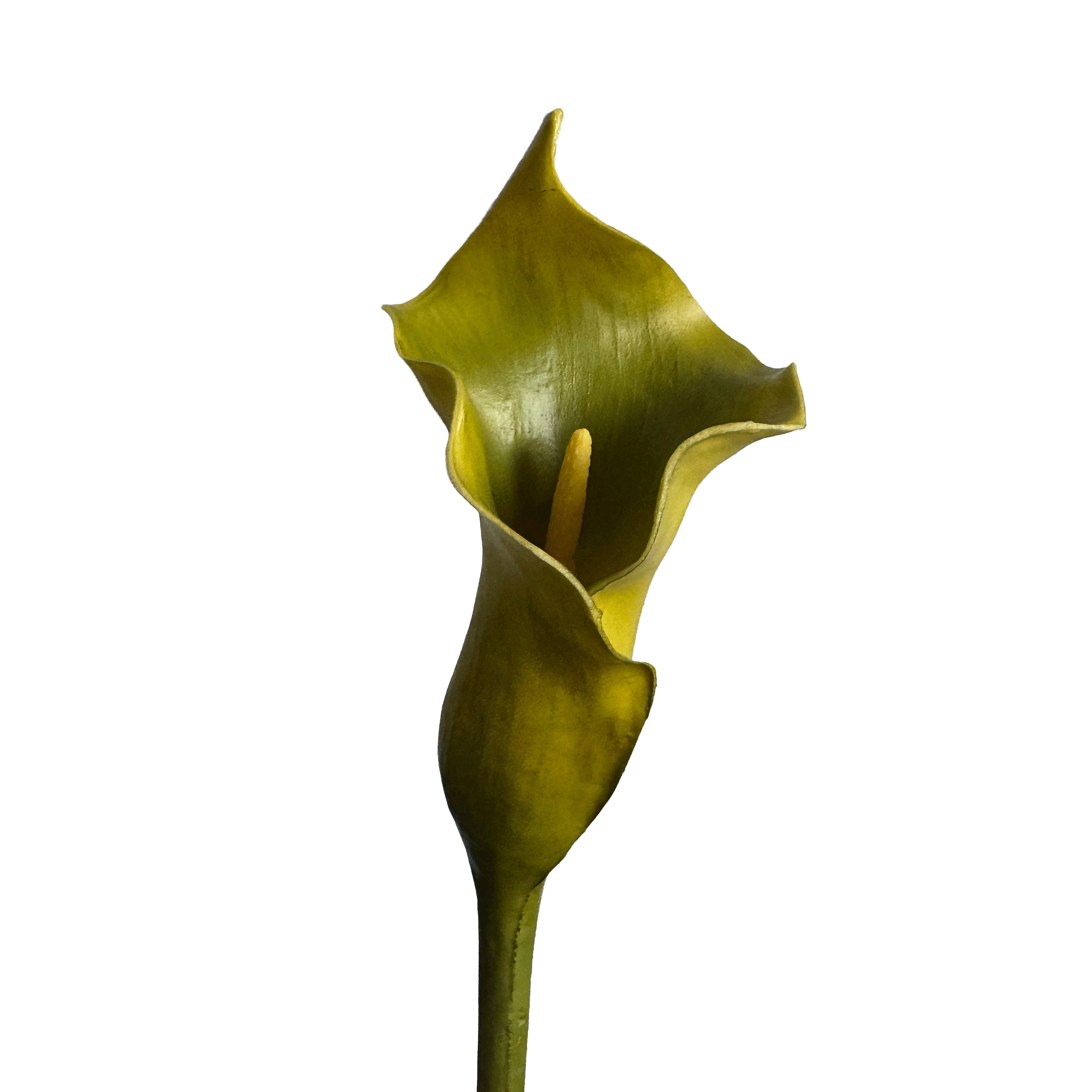 Calla Lily — Moss Green