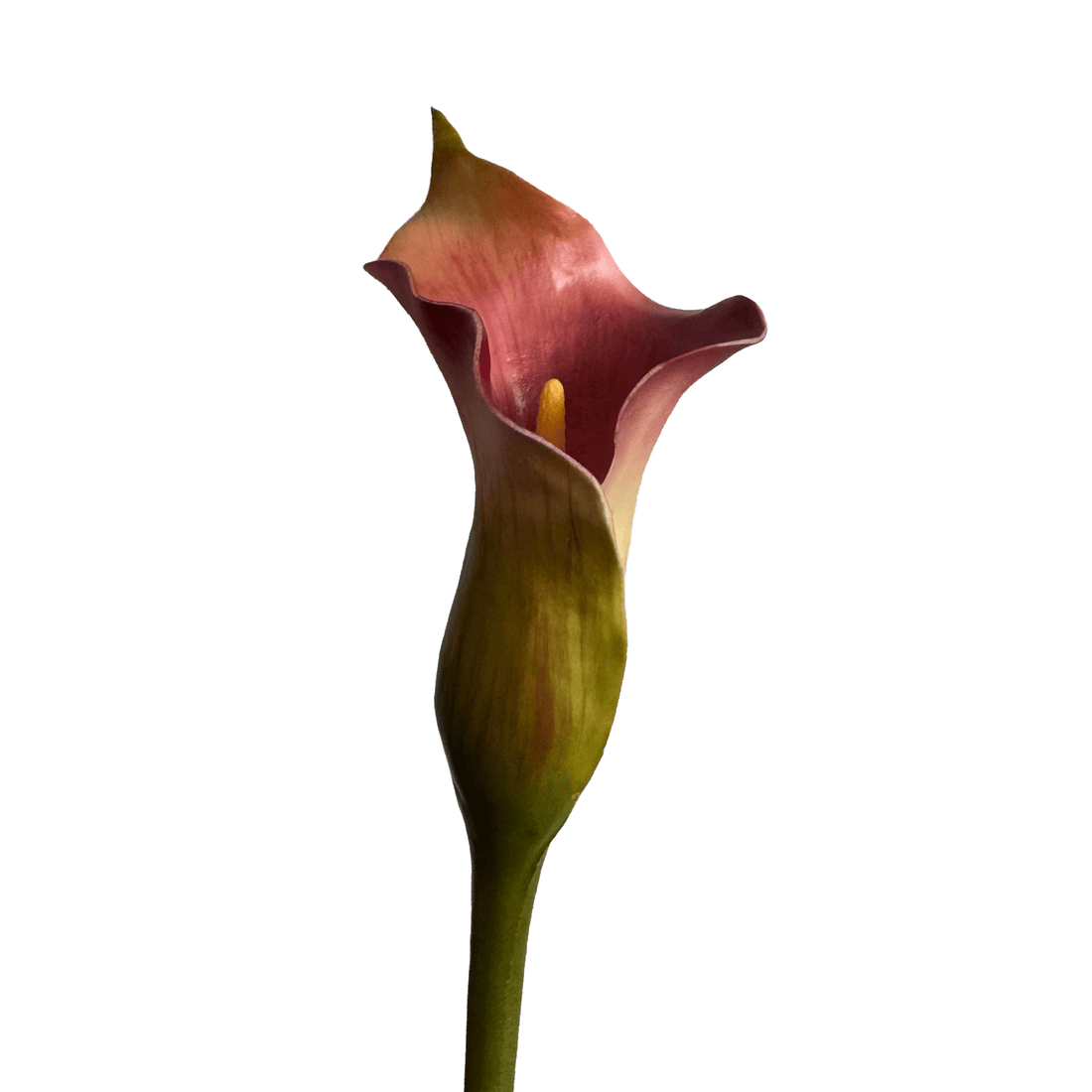 Calla Lily — Rouge Forest