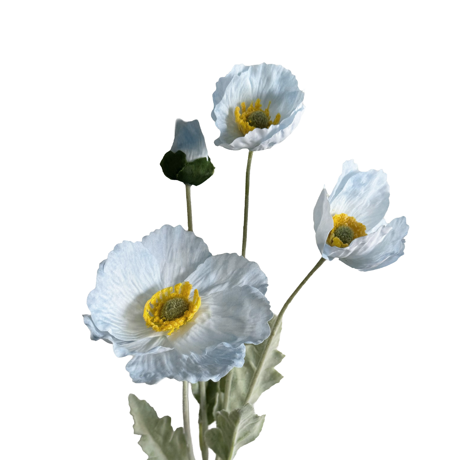 Poppy Spray with Bud — Zenith Blue