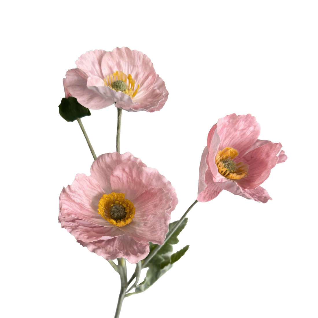Poppy Spray with Bud — Nymph Pink