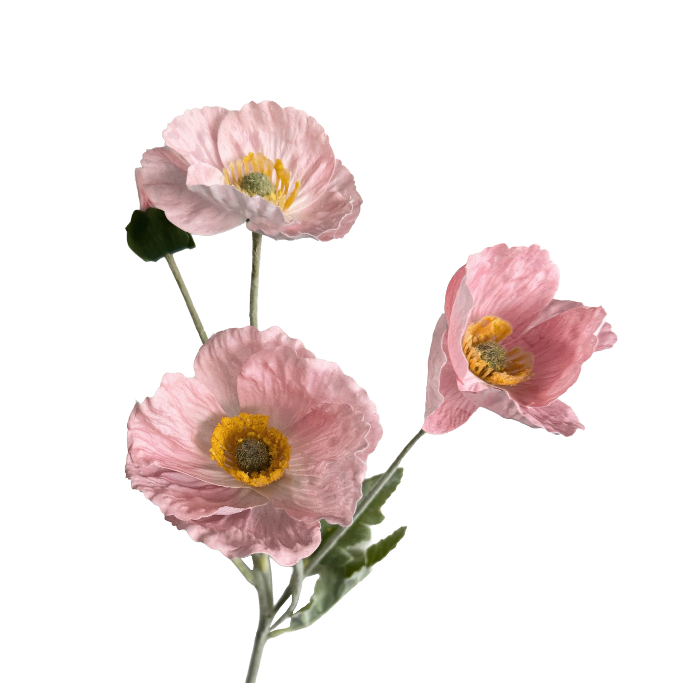 Poppy Spray with Bud — Nymph Pink