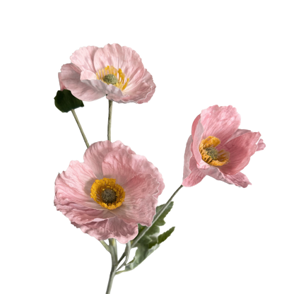 Poppy Spray with Bud — Nymph Pink