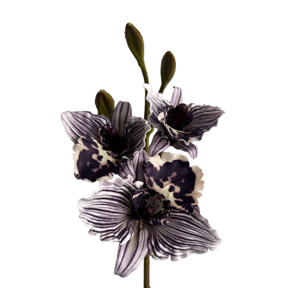 Cattleya Orchid — Inky Purple