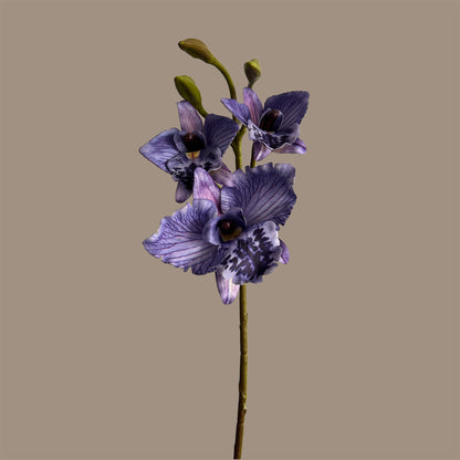 Cattleya Orchid — Vivid Purple