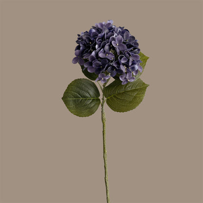 Graceful Hydrangea — Cobalt Violet
