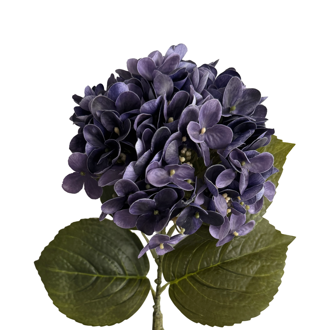 Graceful Hydrangea — Cobalt Violet