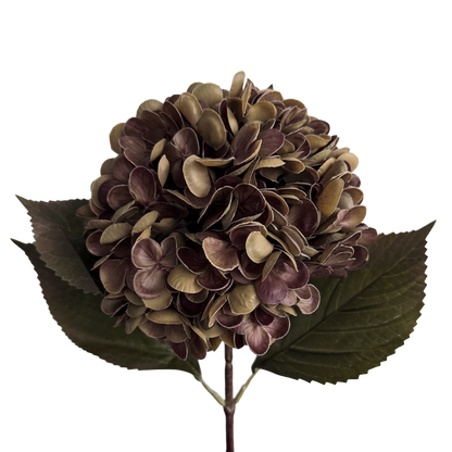 Gracious Hydrangea (Six Stems) — Fallen Leaf