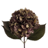 Gracious Hydrangea (Six Stems) — Fallen Leaf