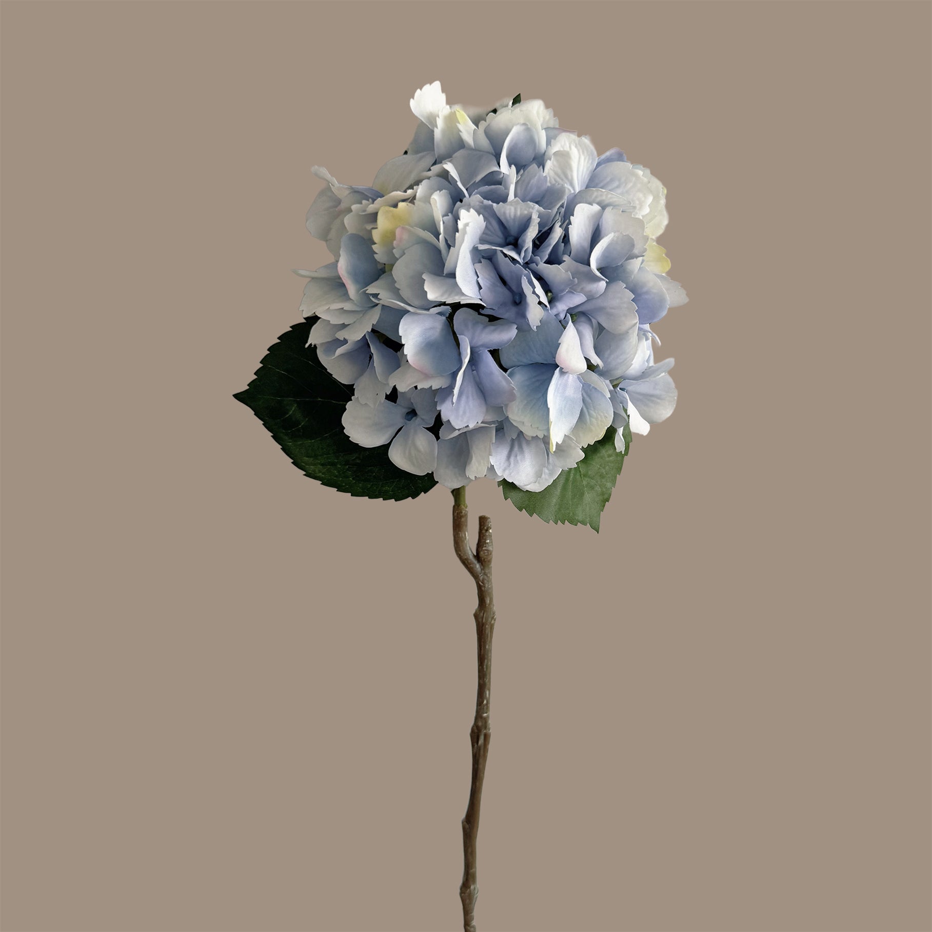 Hazy Dream Hydrangea — Soft Blue Violet