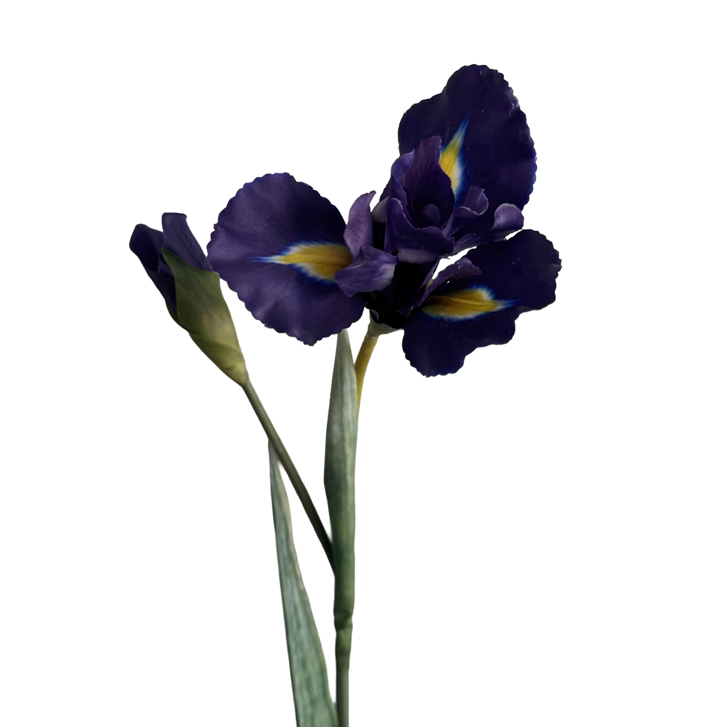 Iris — Indigo Purple